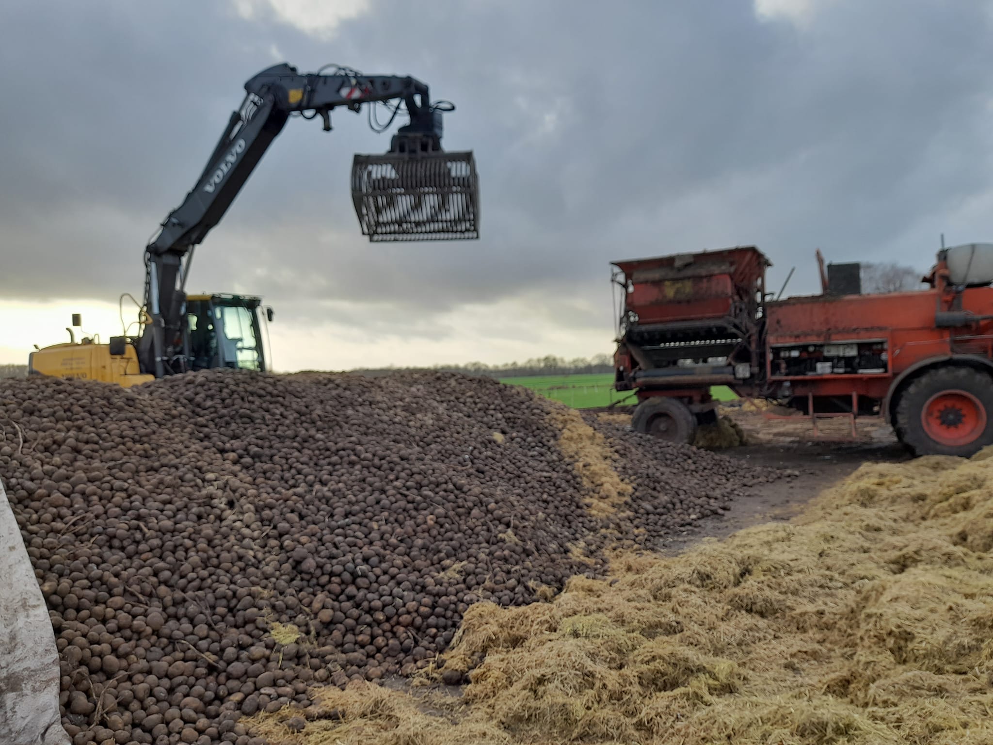 Aardappelen ophalen bij Boerderijwinkel Lensink.